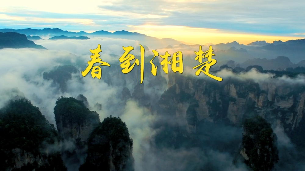 第1視點(diǎn)丨春到湘楚