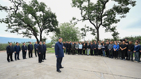 習(xí)近平：鄉(xiāng)村振興要靠產(chǎn)業(yè)，各地要各展其長