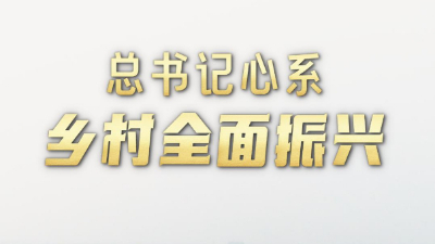 第1視點｜總書記心系鄉(xiāng)村全面振興